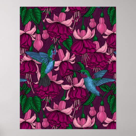Poster Jardin des colibris (Devant)