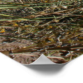 Poster Jardin des Dieux (Coin)