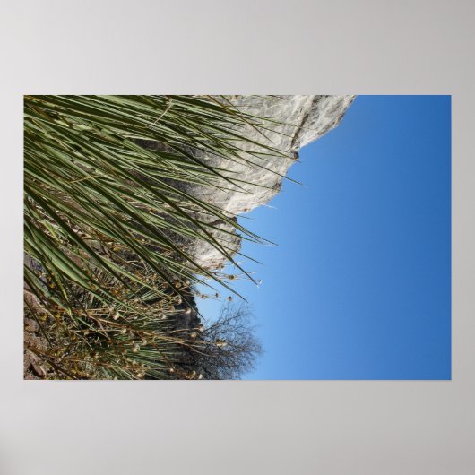 Poster Jardin des Dieux (Devant)