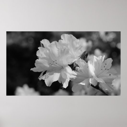 Poster Jardin des fleurs (Devant)