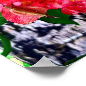 Poster Jardin des fleurs rouges Mexique (Coin)