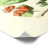 Poster Jardin des papillons et des fleurs (Coin)