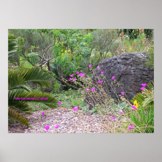 Poster Jardin des Poppies roses (Devant)