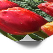 Poster Jardin des Tulipes du printemps (Coin)