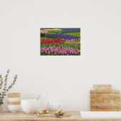 Poster Jardin des tulipes, Grape Hyacinth et (Cuisine)