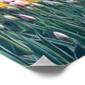 Poster Jardin d'exposition de tulipes dans la vallée de S (Coin)