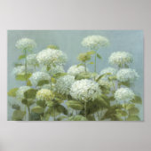 Poster Jardin d'Hydrangea blanc (Devant)