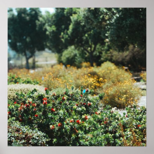 Poster Jardin dispersé (Devant)