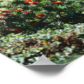 Poster Jardin dispersé (Coin)