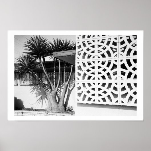 Poster Jardin du milieu du siècle (Devant)