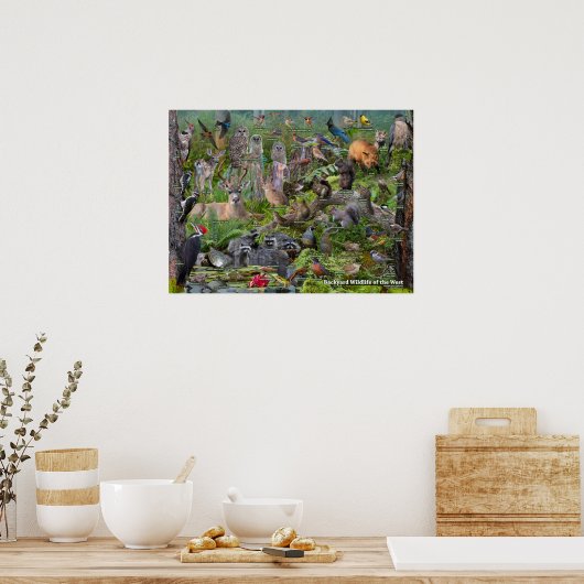 Poster Jardin Faune de l'Ouest identification (Cuisine)