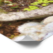 Poster Jardin Fleur Fée Photo Peinture (Coin)