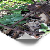 Poster Jardin Fleur Rouille Rouille Et Pompe (Coin)