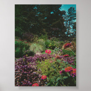 Poster Jardin Fleur sauvage vintage