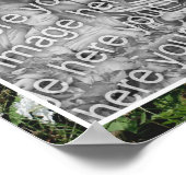 Poster Jardin Fleur White Phlox Ajouter Votre Photo (Coin)