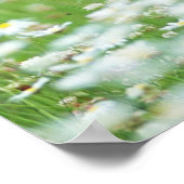 Poster Jardin fleuri (Coin)