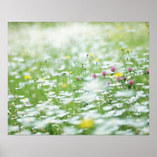 Poster Jardin fleuri (Devant)