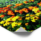 Poster Jardin Fleuri Coloré En Été (Coin)
