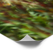 Poster Jardin fleuri du parc de Prague (Coin)