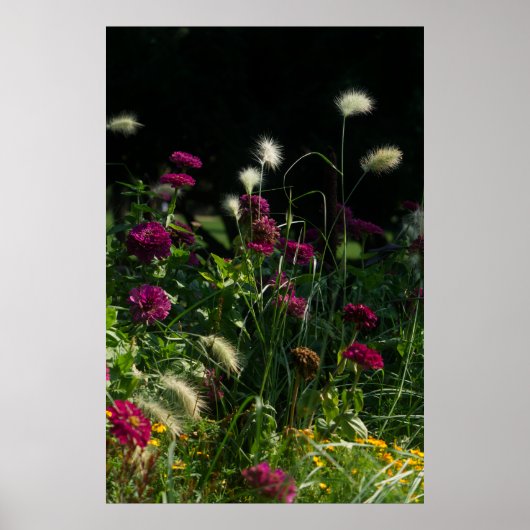 Poster Jardin fleuri du parc de Prague (Devant)