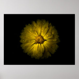 Poster Jardin Fleurs No 10 Version couleur