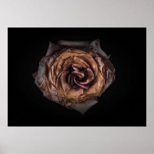 Poster Jardin Fleurs No 139 Version couleur (Devant)
