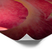 Poster Jardin Fleurs No 40 Version couleur (Coin)