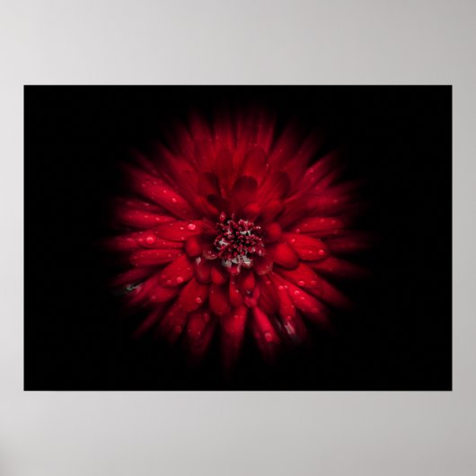 Poster Jardin Fleurs No 45 Version de flux couleur (Devant)