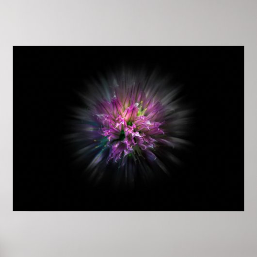 Poster Jardin Fleurs No 53 Version de flux couleur (Devant)