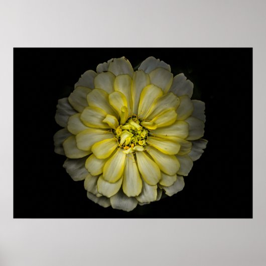 Poster Jardin Fleurs No 86 Version couleur (Devant)