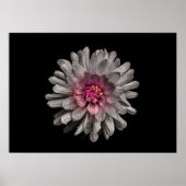 Poster Jardin Fleurs No 91 Version couleur (Devant)