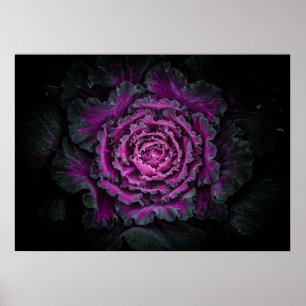 Poster Jardin Fleurs No 99 Version couleur