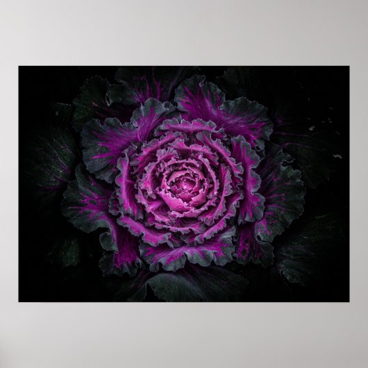 Poster Jardin Fleurs No 99 Version couleur (Devant)