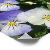 Poster Jardin Floral de Pensées Violettes (Coin)