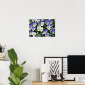 Poster Jardin Floral de Pensées Violettes (Bureau à domicile)