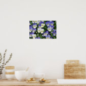 Poster Jardin Floral de Pensées Violettes (Cuisine)