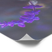 Poster Jardin Floral Violet (Coin)