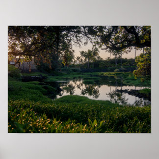 Poster Jardin hawaïen Waikoloa