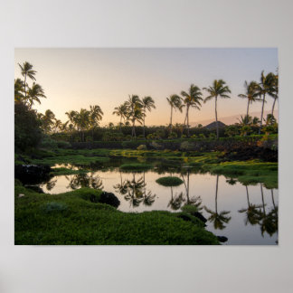 Poster Jardin hawaïen Waikoloa