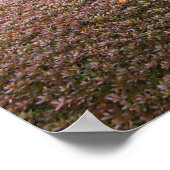 Poster Jardin japonais 日 本 庭 園 (Coin)