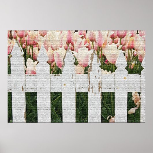 Poster Jardin néerlandais de Tulipe rose (Devant)