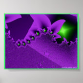 Poster Jardin Nite Lite (Devant)