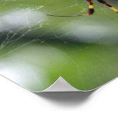 Poster Jardin noir et jaune Araignée (Coin)