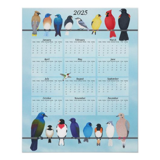 Poster jardin oiseaux 2025 calendrier mural (Devant)