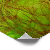 Poster Jardin paradisiaque (Coin)