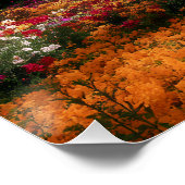 Poster Jardin paradisiaque avec vue sur un arbre en fleur (Coin)