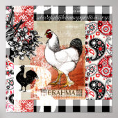 Poster Jardin Poulets B est pour Brahma (Devant)