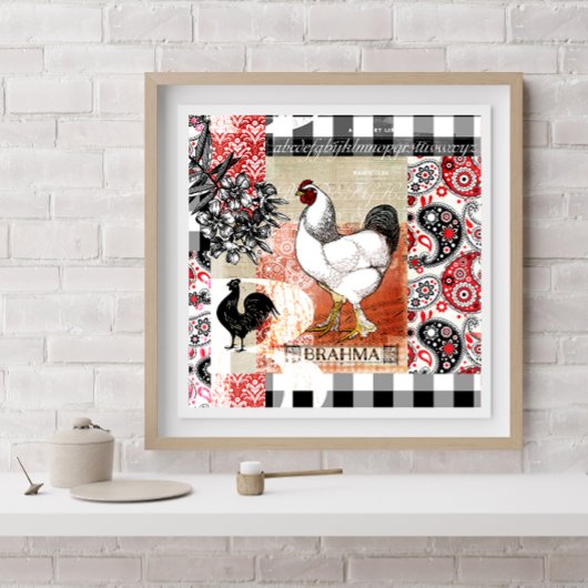 Poster Jardin Poulets B est pour Brahma