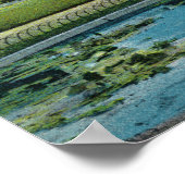 Poster Jardin public de Boston vue de Vénus au bain (Coin)