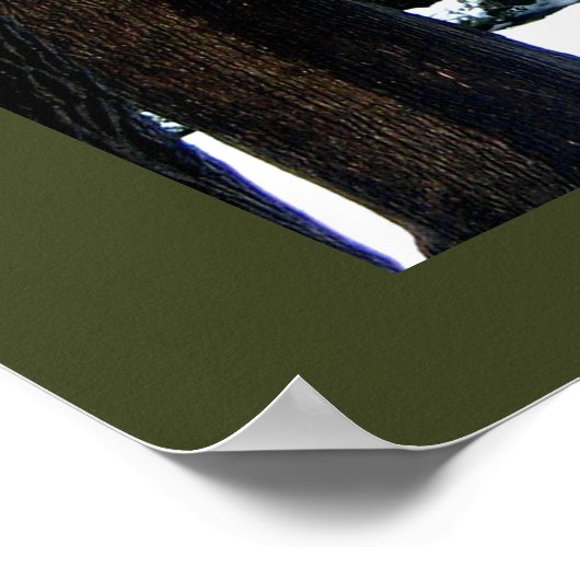 Poster Jardin public vert (Coin)